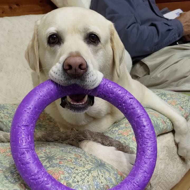 6b84db2f a6b6 46a4 86e5 646c4753fc76 1684172857949