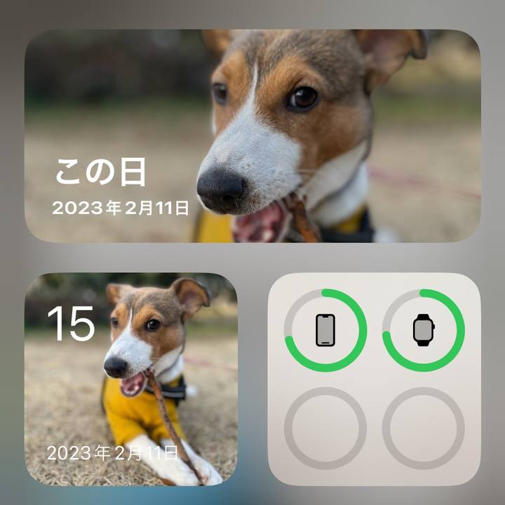 6b8501c1 599d 4192 9bda 0b7c4ba0d351 1708039952027