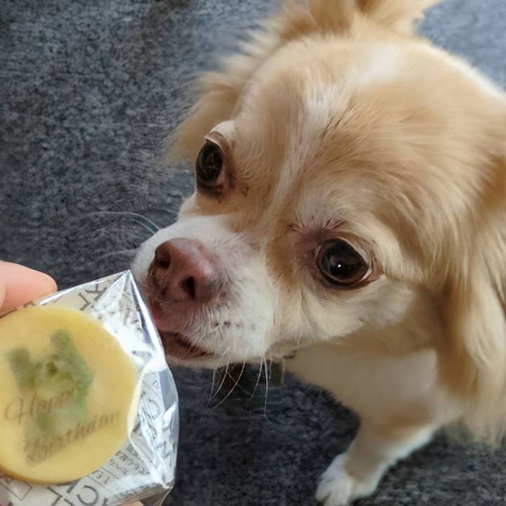 6b8502f7 b75f 4f44 906e 4289ac8b878b 1764128452891