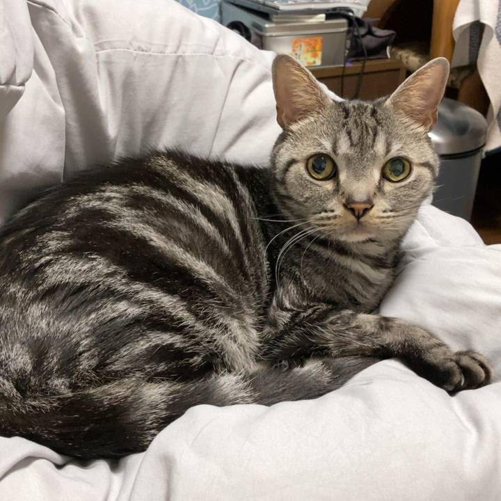 6b8542cf 7d15 49b9 84d5 17a408221513 1668603954626