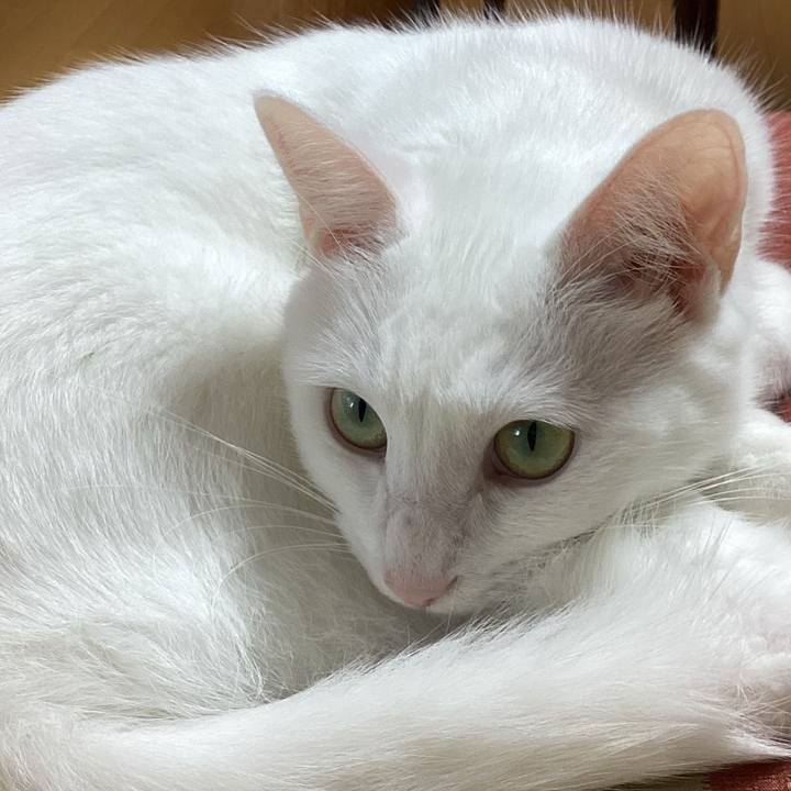 6b858315 2719 4bda 98df 40faf4bfb081 1665462519476