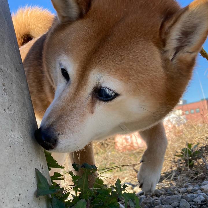 6b85a73d 48de 4c5b 8317 9694521f4bce 1639894054046