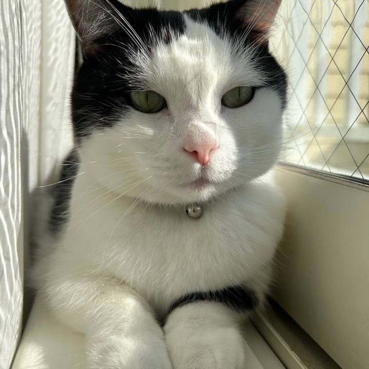 6b85b016 04d0 4907 a42a 6b7c8e1e9885 1763251960471