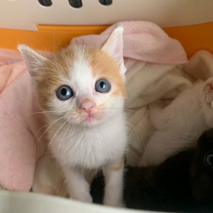 6b85e54b d336 4af2 8957 8fb22257cbec 1634452125145