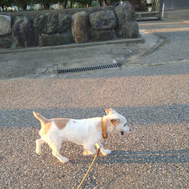 6b86058e b464 4adb 95db 68cafbb1fcea 1728815082867