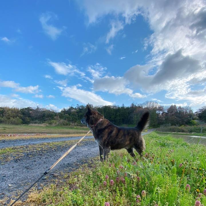 6b866f35 3c9d 4d43 b825 7a188ea59847 1587598312885