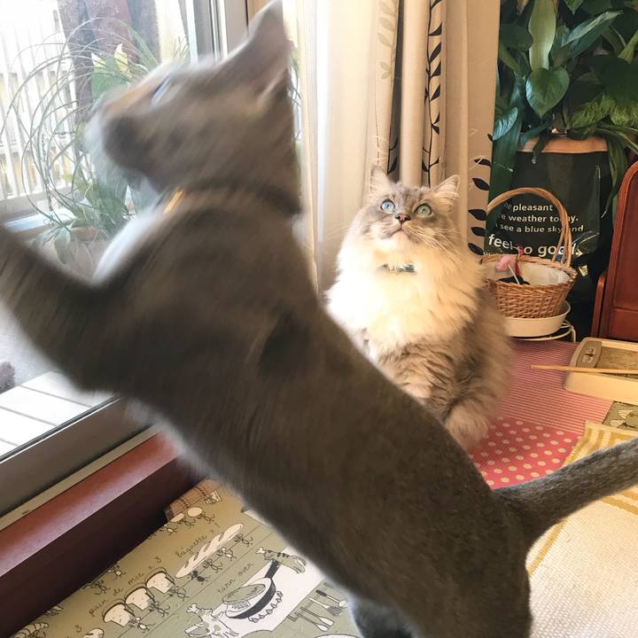 6b8677f7 7e80 447c b086 0826c023a2e4 1518407380973