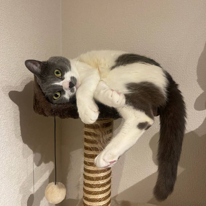 6b868ad0 6d46 4163 b57b 152c01b8a7ca 1716286655285