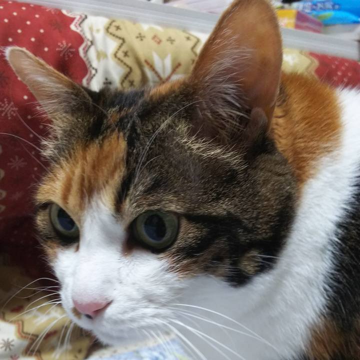 6b873a4d bf05 47aa 8fc4 9e3d087f9082 1548622672879