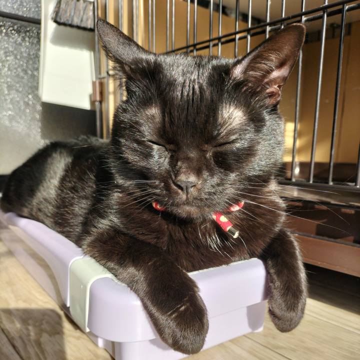 6b874749 55bb 4832 8a65 154b682372bd 1648162925600