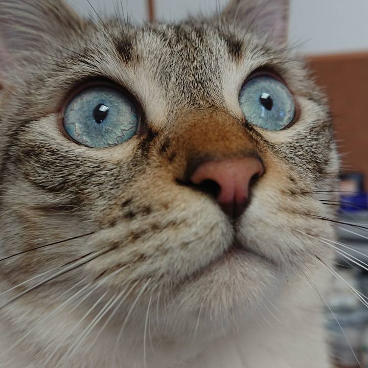 6b8766f1 1d68 4ede b646 4fc00f3cf0b0 1559359276768