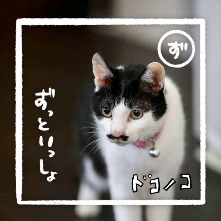 6b879ab0 c0e1 4737 b31f 0730eb846cd5 1685976257379