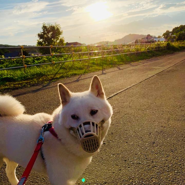 6b87d2ba aa05 4001 8f7b 940e28f22a2d 1567979111724