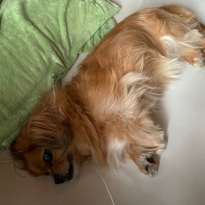 6b87e077 c0e6 49be 9c64 60b3b780acdb 1664229540494