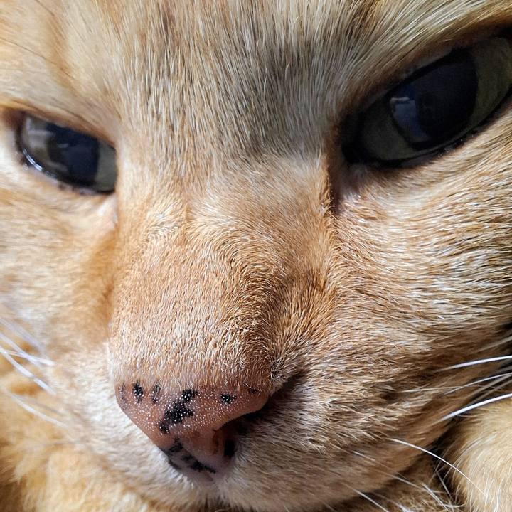 6b881375 a9e0 4774 b5cd aded5dbecbd5 1729912605538