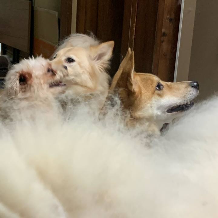 6b8851b8 c368 4021 9ccd e7fbcbcf4ab1 1669176114769