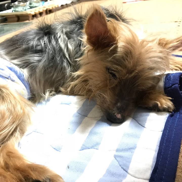 6b88643e f1fd 43a2 9d4d a7aeb59780a9 1507647213733