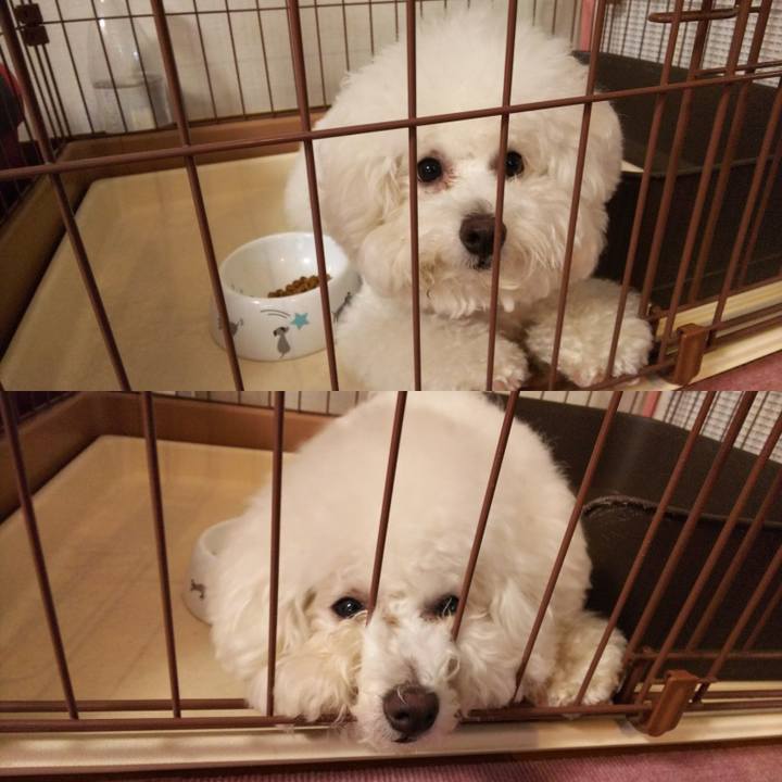 6b88cf75 c579 4f4b b45e fda7b4902c2a 1528861095875