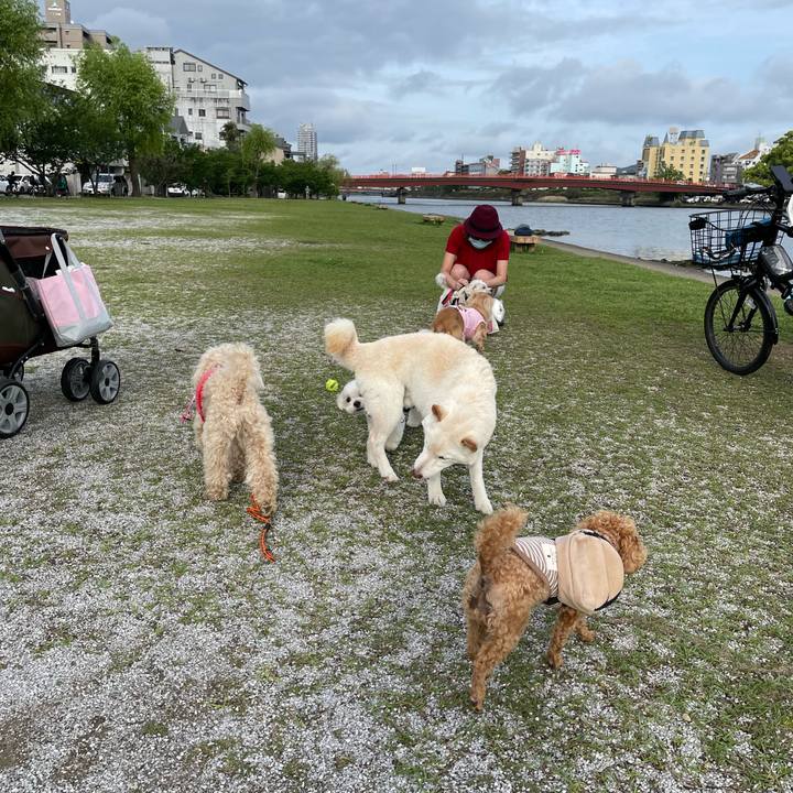 6b88edf9 4e3d 4c2e af70 e96e837cec81 1650888357628