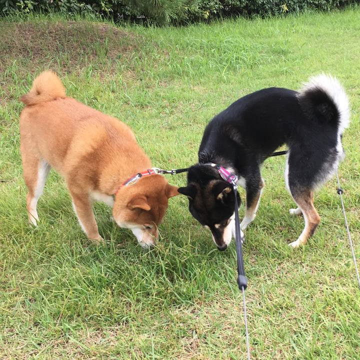 6b890f72 d441 4d5b 9492 36710ea8738a 1569209961792