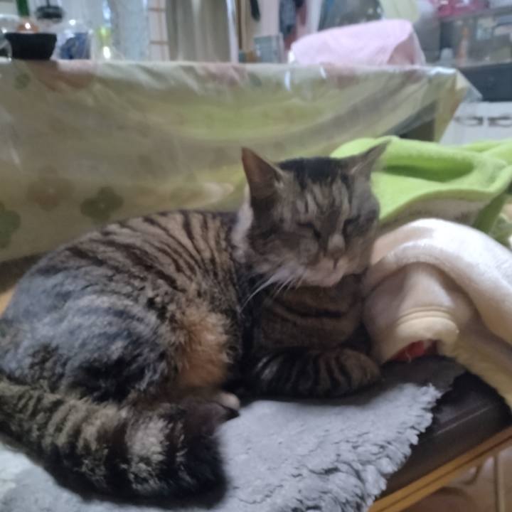 6b891f1d 785b 4154 ada5 15fc7488c53a 1678059383187