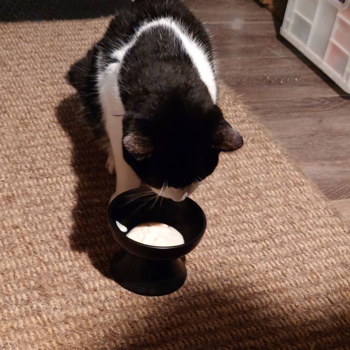 6b89385b 7d9c 4c65 90f4 df700ff38e28 1758630523854