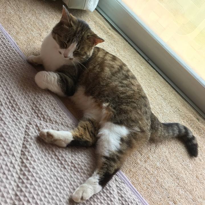 6b89573e a6a2 4c44 a92d 9cbec24cc8f8 1528031299284