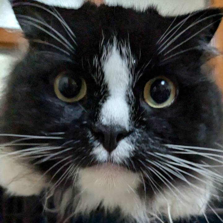 6b897cf0 5055 4cda 937d 7c6b6d25ea76 1722047029072