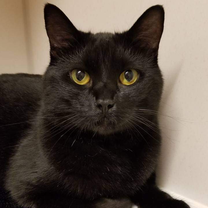 6b89c139 e1a4 47c9 b035 d905b513be97 1561889482864