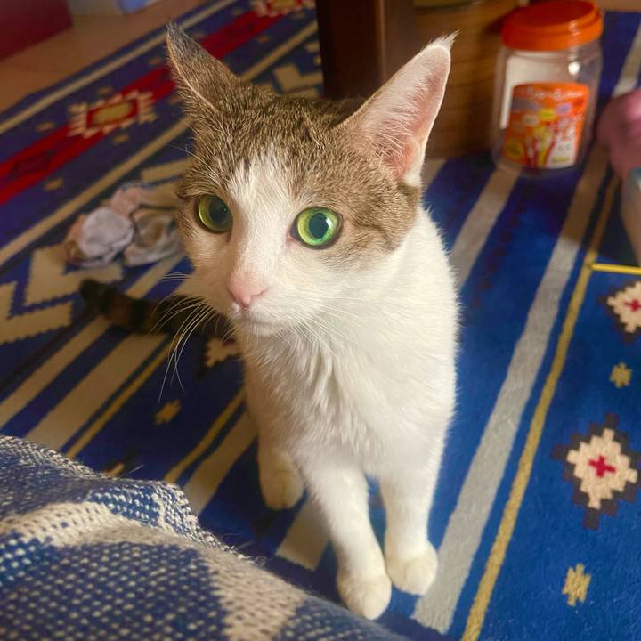 6b89eeef 5cbe 4963 bc0c 8d51cae9eb90 1626944208958