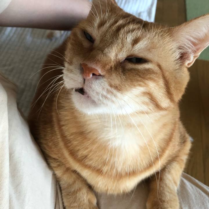 6b89fada 3afa 4c12 b5b9 def996913381 1633987547638