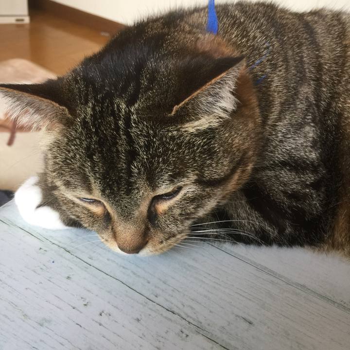 6b8a19c6 ab13 4a2c bdf8 01f0fc67cf38 1556677771613