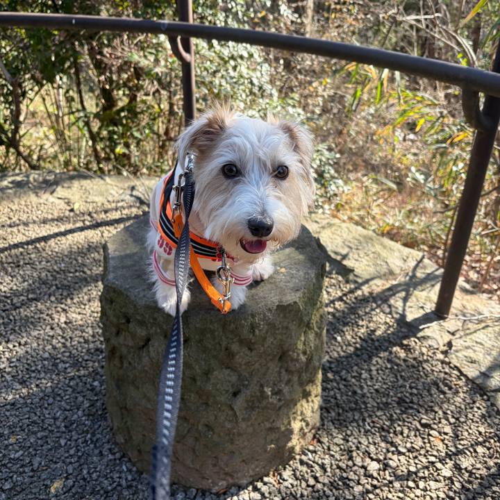 6b8a5515 1f6e 4dab b039 3e2f67f90e7b 1768707409652