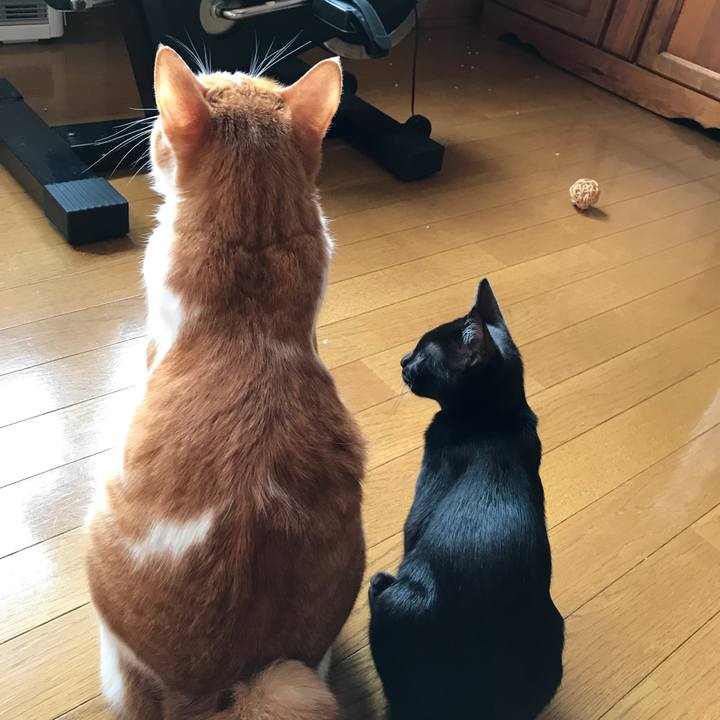 6b8aa283 c0e0 4a51 ad0a 4d555d8df464 1567763679616