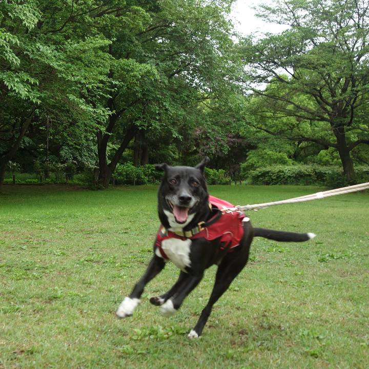 6b8ab532 976b 4739 968f 491cba10a9ea 1682815471008