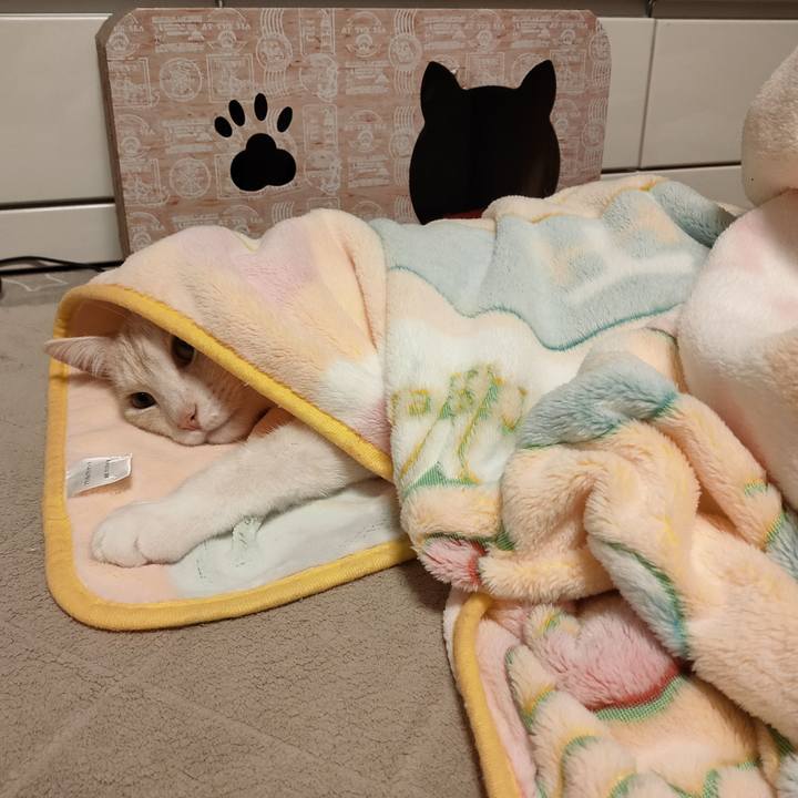 6b8ac858 5e53 42c0 acf3 7d9b23742f19 1670330932309