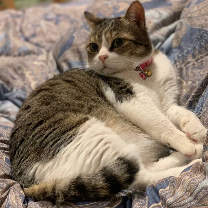 6b8ad0f7 6152 4c11 b2f9 7faaed665e49 1654645941483