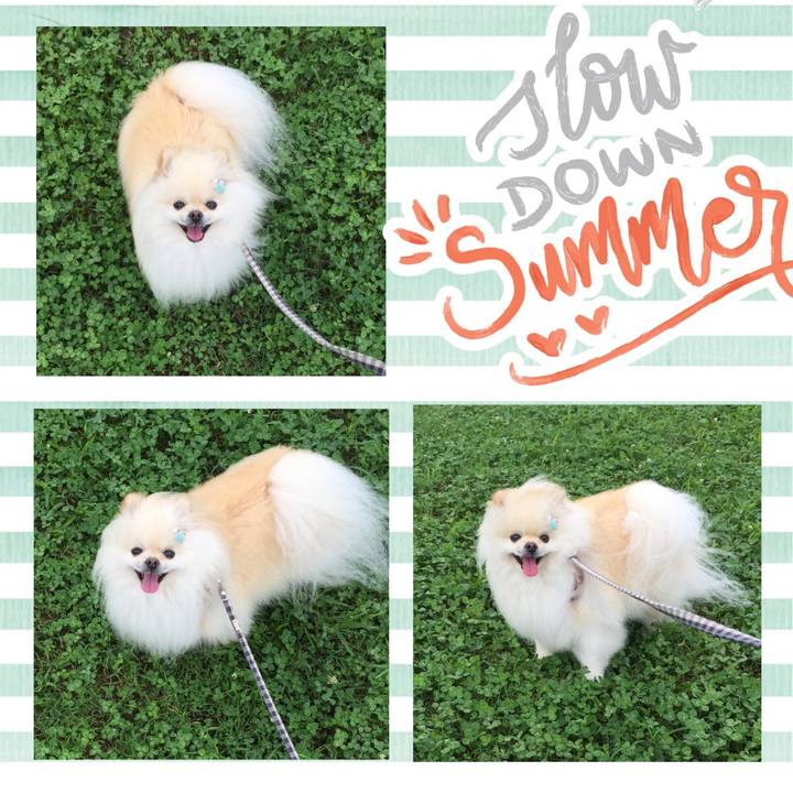 6b8add9c c08f 44ef 80da b98cb3e9deb2 1594422730651