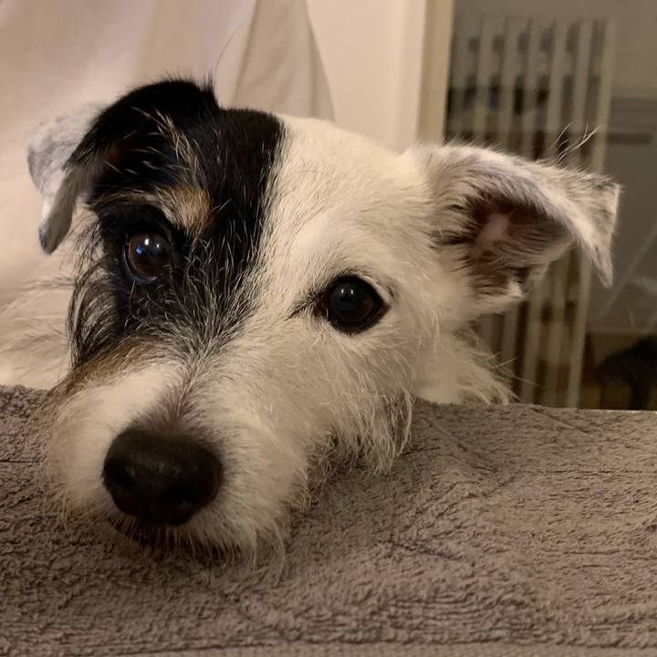 6b8b8d18 51f5 45ae 8cec 81cf9103394a 1729070837914