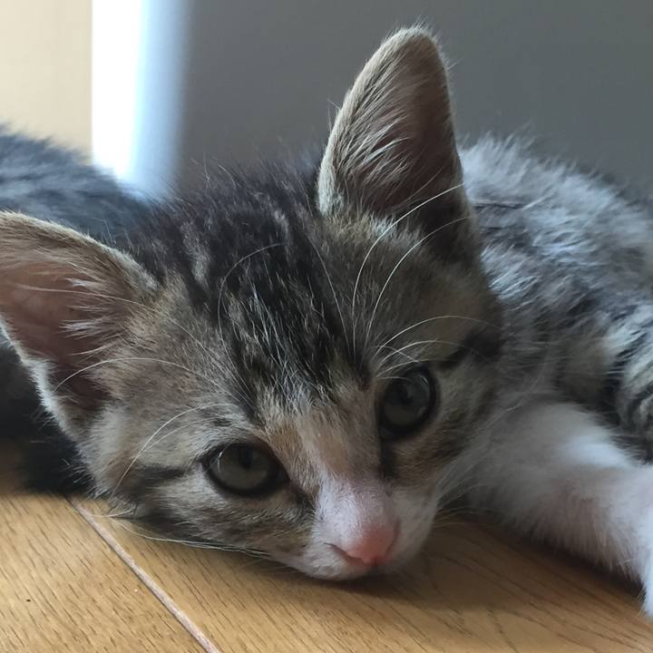 6b8b8f94 1e13 4685 8eab 444f584ecb21 1655015741587