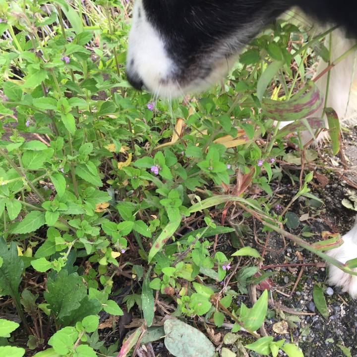 6b8bbcd5 23dd 4376 8e15 d731b5ae51c4 1569289729741