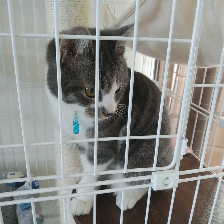 6b8c03aa f2dc 4e8c ade2 81c27f185ab2 1578364694080