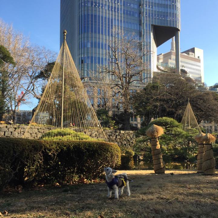 6b8c0997 9928 4de8 a469 fbfa3157aa5a 1515321064454