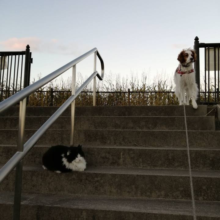 6b8c5999 c516 4b32 b0de 21ee07c88a09 1608076458119