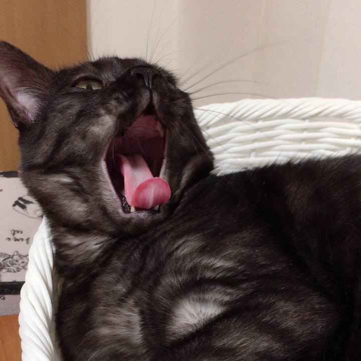 6b8c5de1 53e6 4cdb b313 69f878fef181 1560038474378