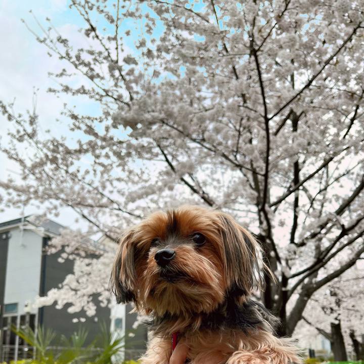 6b8c9bc5 d8c5 47e8 8ba9 a63280f5ccaa 1648356461849