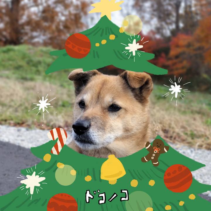 6b8cab9e 5be7 4d05 85f2 ed13df6de698 1764218829203