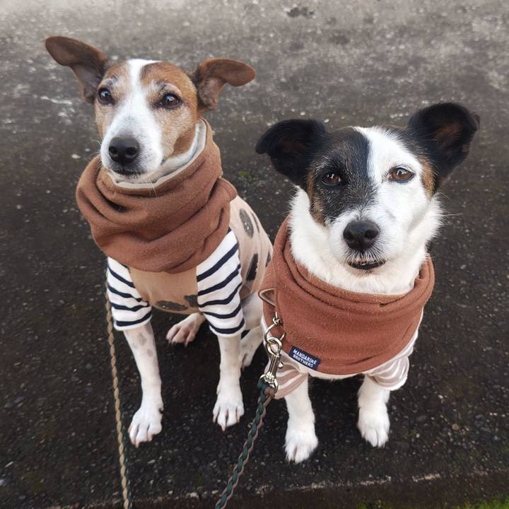 6b8cacc0 8736 4d75 8f2c e6a3ca52f209 1764110650544