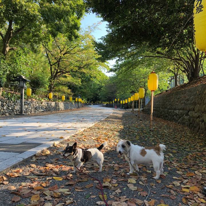 6b8cf7f9 705f 4b4a ad64 94a0097ad058 1533342435363