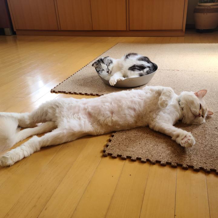 6b8d0362 a313 494d a914 752ab26dba34 1689917817291